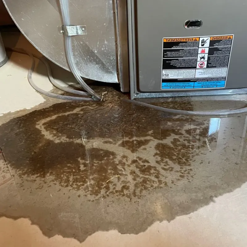 Pipe Burst and Leak Restoration in Trigg County, KY