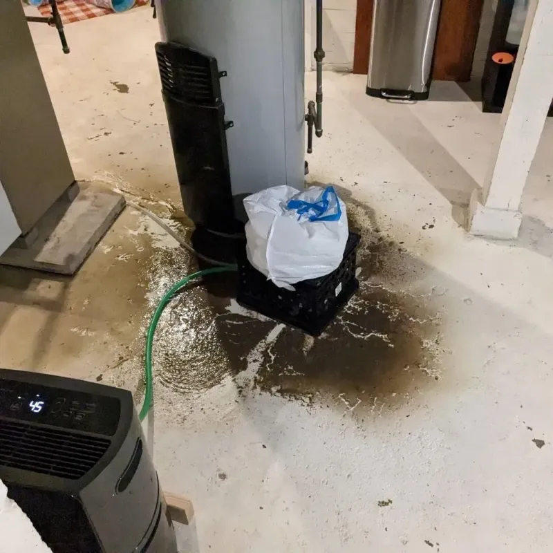 Sewage Backup Cleanup Service in Trigg County, KY